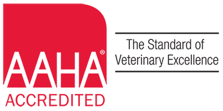 American Animal Hospital Association Accreditation - Tampa, FL
