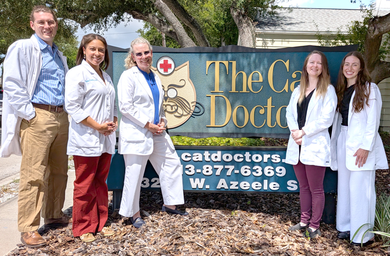 Cat-Doctors-DVM-photo-2026