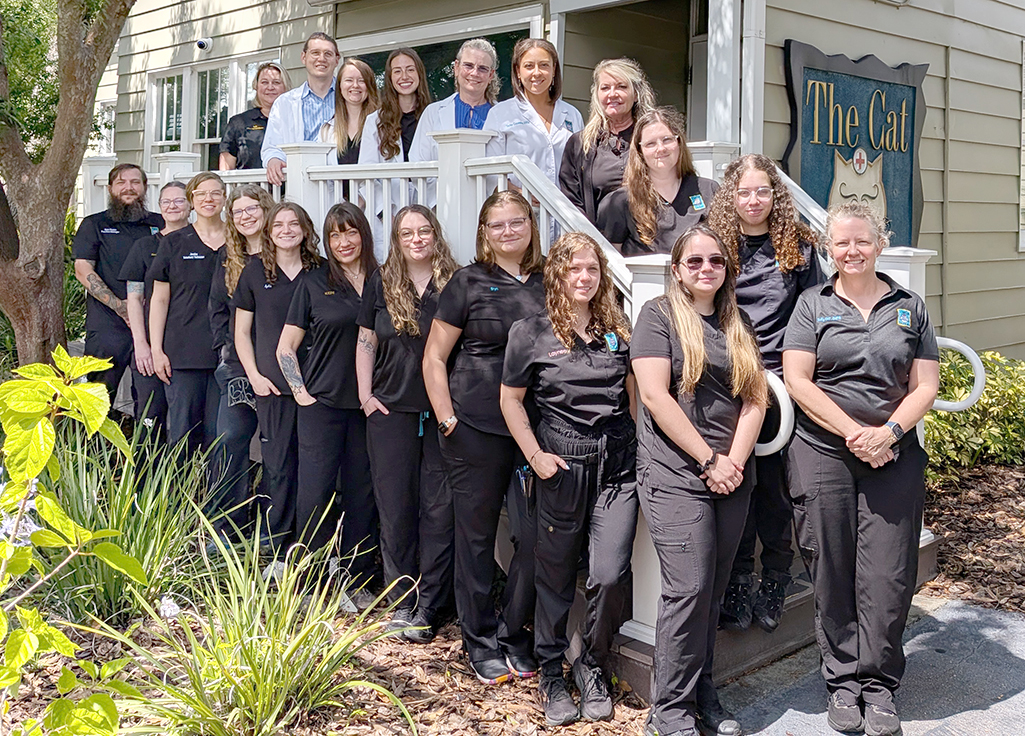 Cat-Doctors-staff-photo-2026